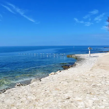 Amaii-2 By Interhome Apartamento