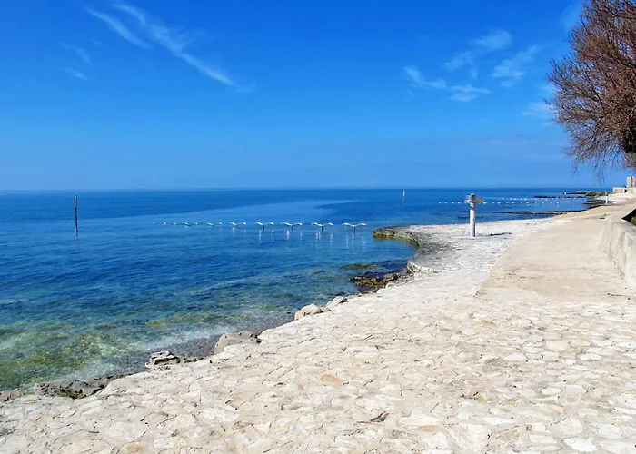 Amaii-2 By Interhome Lejlighed